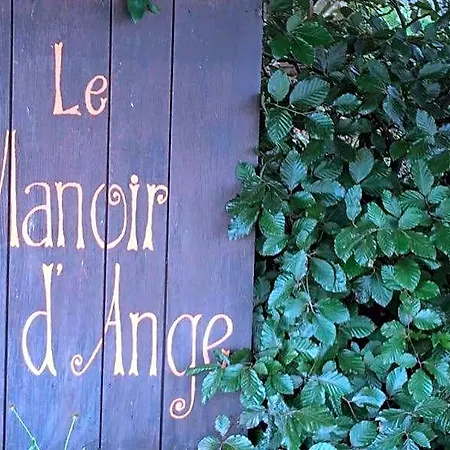 Le Manoir D'ange Ferrières