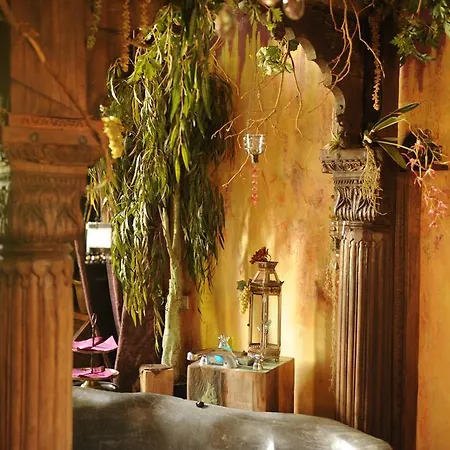 Bed & Breakfast Le Manoir D'ange 4*