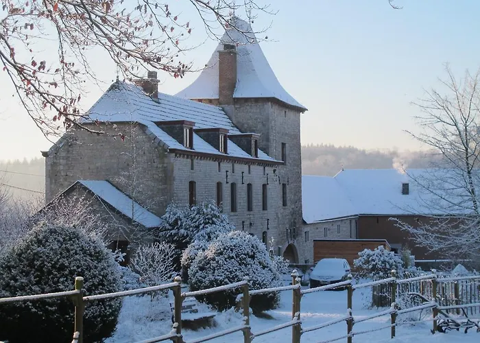 Bed & Breakfast Le Manoir D'ange 4*